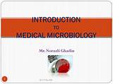 Images of Medical Microbiology Online Course
