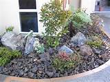 Pictures of Mulch And Rock Landscaping