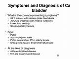 Bladder Cancer In Dogs Treatment Options