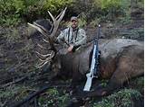 Cheap Elk Hunting Outfitters Photos