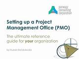 Images of Pmo Project Management Office