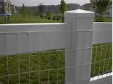 Vinyl Coated Chicken Wire Fence Pictures