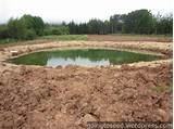 Pictures of Farm Pond Water Level Control