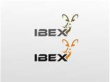 What Is Ibex Company Images