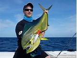 Fish Mahi Images