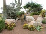 Photos of Xeriscape Landscape Design Ideas