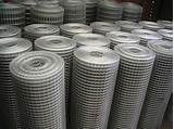 Photos of Galvanized Welded Wire Cloth