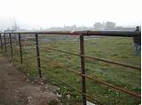Guardrail Fencing Cattle