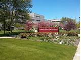 Indiana University Enrollment