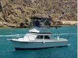 Cabo Fishing Charter Images