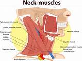Pictures of Jaw Muscle Strengthening Exercises