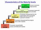 Images of Characteristics Of Project Management Pdf