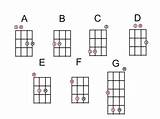Pictures of Basic Bass Guitar Notes