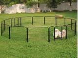 Photos of Temporary Fencing For Dogs