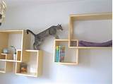 Glass Display Shelves For Home Images
