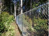 Galvanized Chain Link Fence Cost Images
