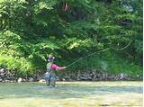 Pictures of Free Fly Fishing Images