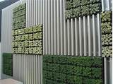 Images of Living Wall Fence Panels