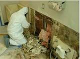 Images of Licensed Mold Remediation Contractor