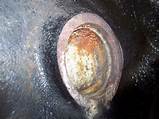 Anti Corrosion Chemicals Pictures