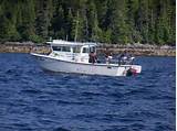 Knudson Cove Salmon Fishing Pictures