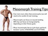 Mesomorph Bodybuilding Training