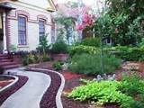 Images of Lava Rock Landscaping Pros Cons