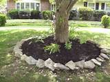Images of Landscaping Rocks Around Trees