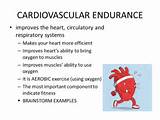 Cardiovascular Endurance Training Images