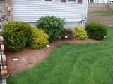 Images of Simple Backyard Landscaping