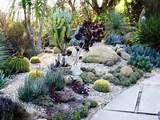 Rocks For Succulent Garden