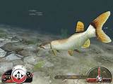 Free Fishing Games To Play Online Photos