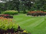 Lawn And Landscape Maintenance Pictures