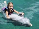Dolphin Baby Swim Photos