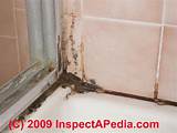 Photos of Mold Removal In Shower