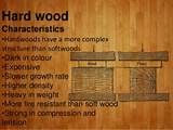 Pictures of What Are The Characteristics Of Pine Wood