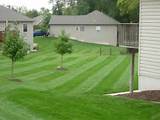 How To Care Lawn Images