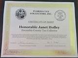 Janet Holley Business Tax Receipt Pictures