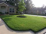 Images of Outdoor Yard Landscaping Ideas