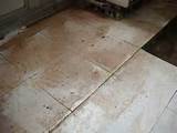 Laminate Flooring Termite Damage