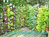 Images of Youtube Gardening Videos