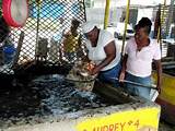 Images of Jamaica Fish Market Menu