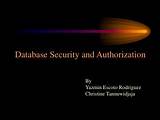 Database Security Audit Photos