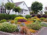 Ideas For Front Yard Landscaping Foundation Planting Pictures