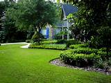 Images of Yard And Landscaping Services