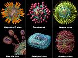 Kinds Of Computer Virus Pictures