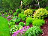 Garden Zone Landscaping Design