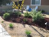 Images of Drought Tolerant Backyard Landscaping Ideas