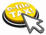 Entry Tax Efiling