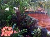Photos of Inner West Landscapers Sydney